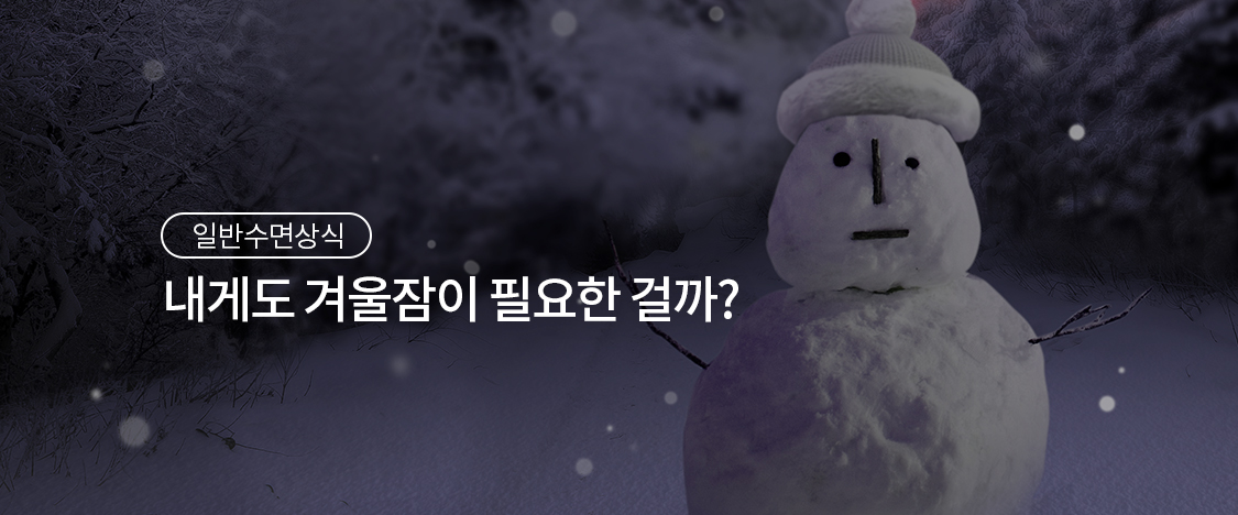 내게도 겨울잠이 필요한 걸까?