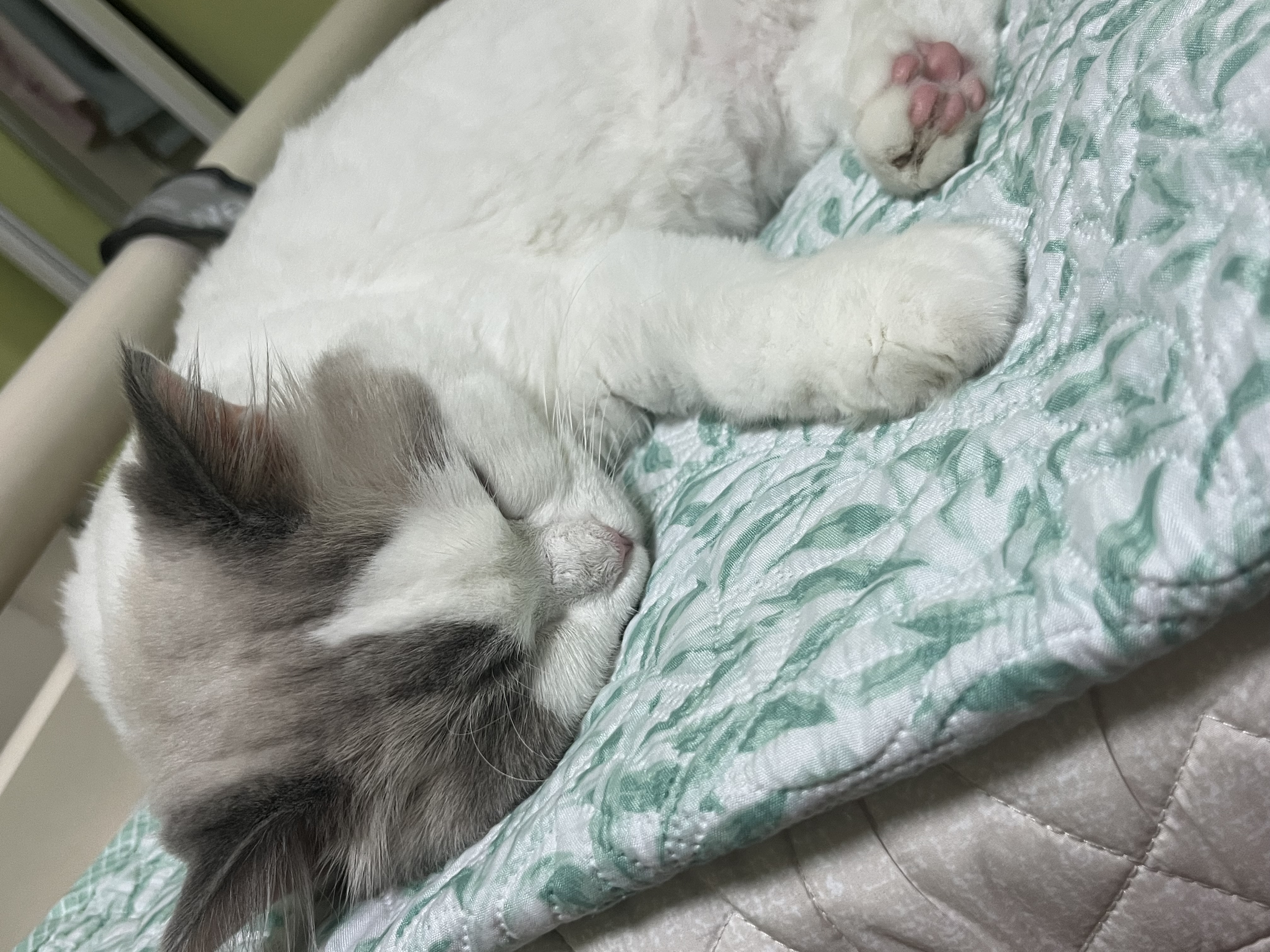이미지