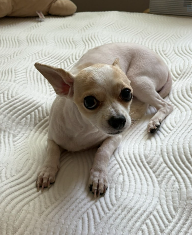 이미지